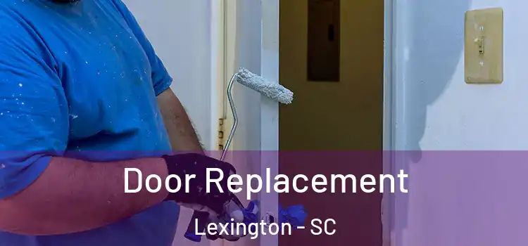 Door Replacement Lexington - SC