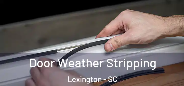  Door Weather Stripping Lexington - SC