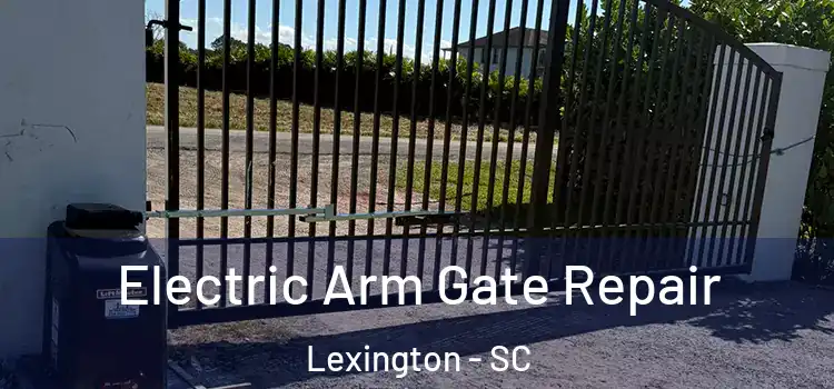 Electric Arm Gate Repair Lexington - SC