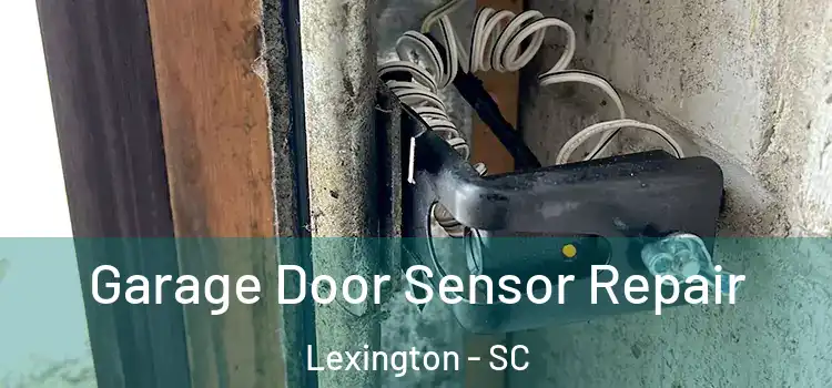 Garage Door Sensor Repair Lexington - SC