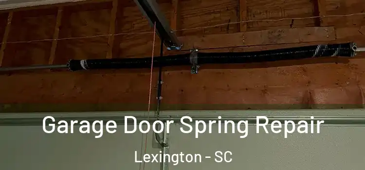  Garage Door Spring Repair Lexington - SC