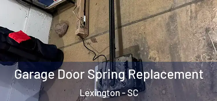  Garage Door Spring Replacement Lexington - SC