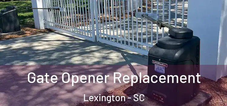 Gate Opener Replacement Lexington - SC