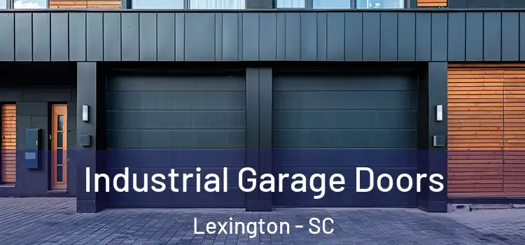  Industrial Garage Doors Lexington - SC