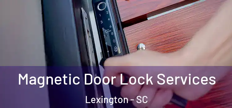  Magnetic Door Lock Services Lexington - SC