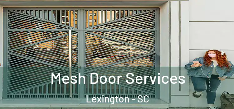 Mesh Door Services Lexington - SC