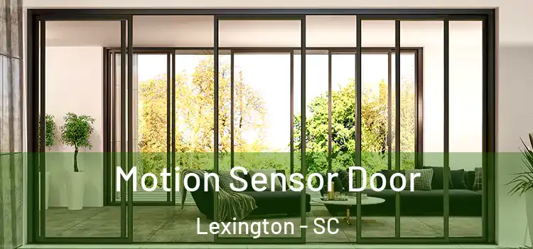  Motion Sensor Door Lexington - SC