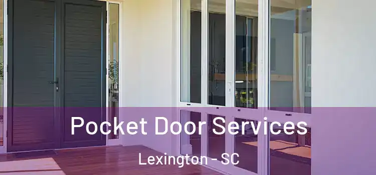 Pocket Door Services Lexington - SC